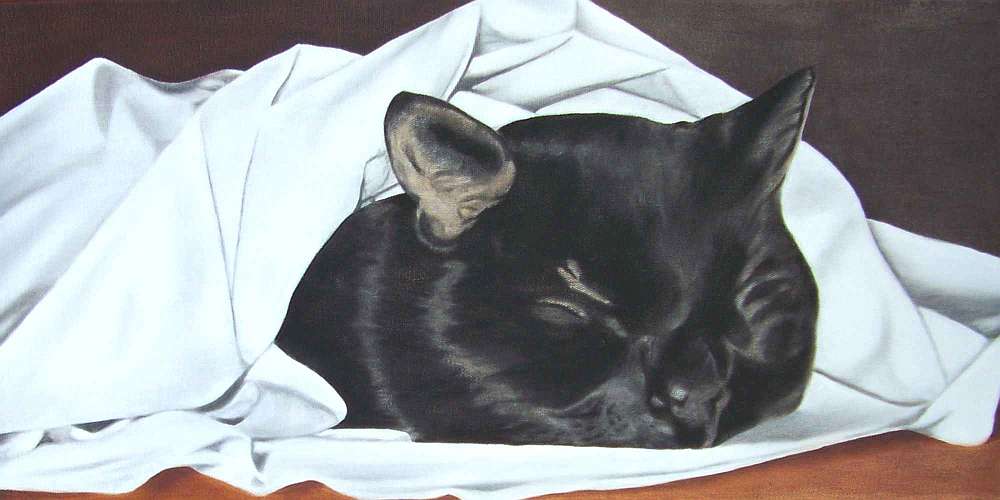 Schwarze Katze unter weissem Tuch