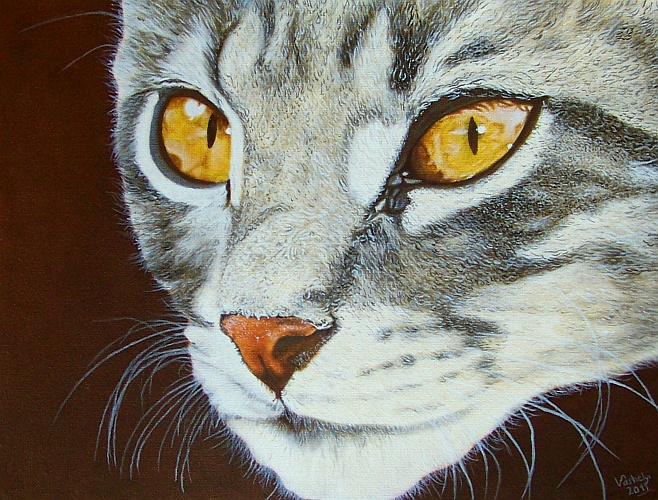 Portrait grauer Katze 