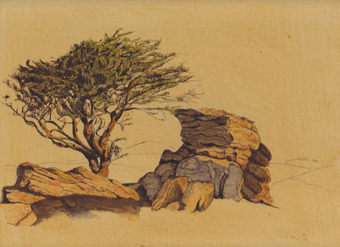 Naturstudie Baum, Stein