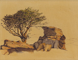 Naturstudie Baum, Stein kl